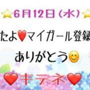 ヒメ日記 2024/06/13 10:03 投稿 はる なでしこ(十三)