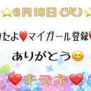 ヒメ日記 2024/06/19 10:03 投稿 はる なでしこ(十三)