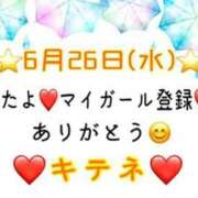 ヒメ日記 2024/06/27 10:03 投稿 はる なでしこ(十三)