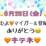 ヒメ日記 2024/06/29 10:04 投稿 はる なでしこ(十三)