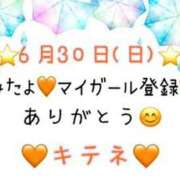 ヒメ日記 2024/07/01 10:03 投稿 はる なでしこ(十三)