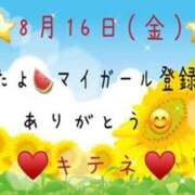 ヒメ日記 2024/08/17 10:04 投稿 はる なでしこ(十三)