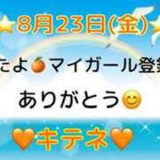 ヒメ日記 2024/08/24 10:03 投稿 はる なでしこ(十三)