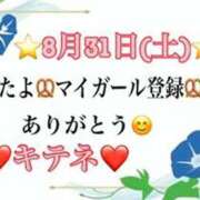 ヒメ日記 2024/09/01 10:03 投稿 はる なでしこ(十三)