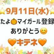 ヒメ日記 2024/09/12 10:03 投稿 はる なでしこ(十三)