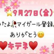 ヒメ日記 2024/09/28 10:06 投稿 はる なでしこ(十三)