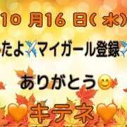 ヒメ日記 2024/10/17 10:04 投稿 はる なでしこ(十三)