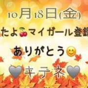 ヒメ日記 2024/10/19 10:05 投稿 はる なでしこ(十三)