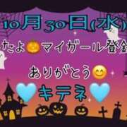 ヒメ日記 2024/10/31 10:03 投稿 はる なでしこ(十三)