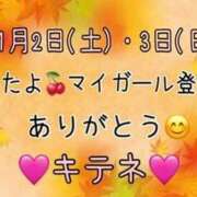 ヒメ日記 2024/11/04 10:07 投稿 はる なでしこ(十三)