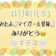 ヒメ日記 2024/11/07 10:03 投稿 はる なでしこ(十三)