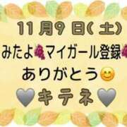 ヒメ日記 2024/11/10 10:04 投稿 はる なでしこ(十三)