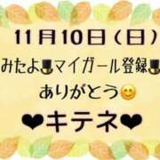 ヒメ日記 2024/11/11 10:02 投稿 はる なでしこ(十三)