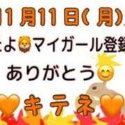 ヒメ日記 2024/11/12 12:08 投稿 はる なでしこ(十三)