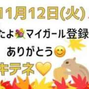 ヒメ日記 2024/11/13 10:03 投稿 はる なでしこ(十三)