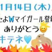 ヒメ日記 2024/11/15 13:50 投稿 はる なでしこ(十三)