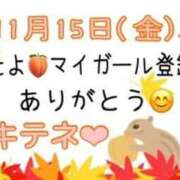 ヒメ日記 2024/11/16 10:04 投稿 はる なでしこ(十三)