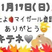 ヒメ日記 2024/11/18 12:09 投稿 はる なでしこ(十三)