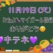 ヒメ日記 2024/11/20 12:09 投稿 はる なでしこ(十三)