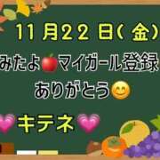 ヒメ日記 2024/11/23 10:05 投稿 はる なでしこ(十三)