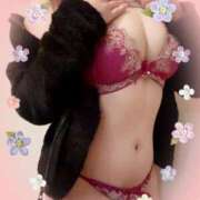 ヒメ日記 2024/12/19 12:56 投稿 はる なでしこ(十三)