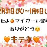 ヒメ日記 2025/01/05 10:04 投稿 はる なでしこ(十三)