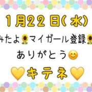 ヒメ日記 2025/01/23 10:04 投稿 はる なでしこ(十三)
