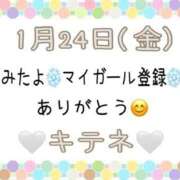 ヒメ日記 2025/01/25 10:05 投稿 はる なでしこ(十三)