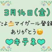 ヒメ日記 2025/03/15 10:02 投稿 はる なでしこ(十三)