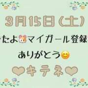 ヒメ日記 2025/03/16 10:02 投稿 はる なでしこ(十三)