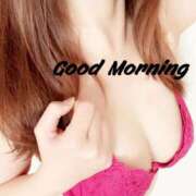 ヒメ日記 2025/03/19 08:45 投稿 はる なでしこ(十三)