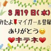 ヒメ日記 2025/03/20 10:02 投稿 はる なでしこ(十三)
