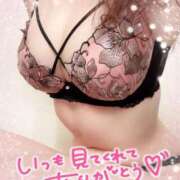 ヒメ日記 2025/03/21 13:15 投稿 はる なでしこ(十三)