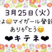 ヒメ日記 2025/03/26 09:45 投稿 はる なでしこ(十三)