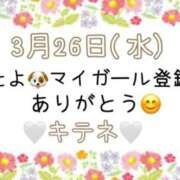 ヒメ日記 2025/03/27 10:01 投稿 はる なでしこ(十三)