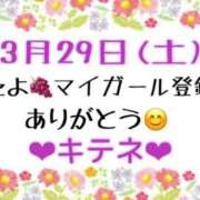 ヒメ日記 2025/03/30 10:02 投稿 はる なでしこ(十三)