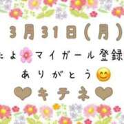 ヒメ日記 2025/04/01 10:01 投稿 はる なでしこ(十三)
