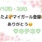 ヒメ日記 2025/04/03 09:45 投稿 はる なでしこ(十三)