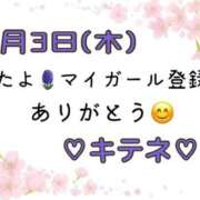ヒメ日記 2025/04/04 10:01 投稿 はる なでしこ(十三)
