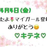ヒメ日記 2025/04/05 10:03 投稿 はる なでしこ(十三)