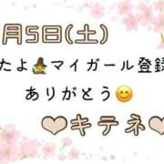 ヒメ日記 2025/04/06 10:02 投稿 はる なでしこ(十三)