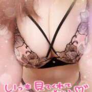 ヒメ日記 2025/04/06 21:45 投稿 はる なでしこ(十三)