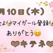 ヒメ日記 2025/04/11 10:01 投稿 はる なでしこ(十三)
