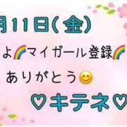 ヒメ日記 2025/04/12 10:02 投稿 はる なでしこ(十三)