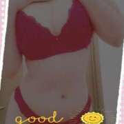 ヒメ日記 2025/04/14 08:45 投稿 はる なでしこ(十三)