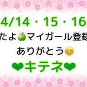 ヒメ日記 2025/04/17 10:01 投稿 はる なでしこ(十三)