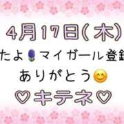 ヒメ日記 2025/04/18 10:01 投稿 はる なでしこ(十三)