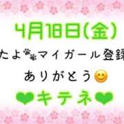 ヒメ日記 2025/04/19 10:03 投稿 はる なでしこ(十三)