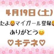 ヒメ日記 2025/04/20 10:02 投稿 はる なでしこ(十三)