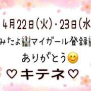 ヒメ日記 2025/04/24 10:02 投稿 はる なでしこ(十三)
